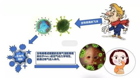 除菌杀毒（新冠）才是基本功：谷奇石墨烯空气净化器