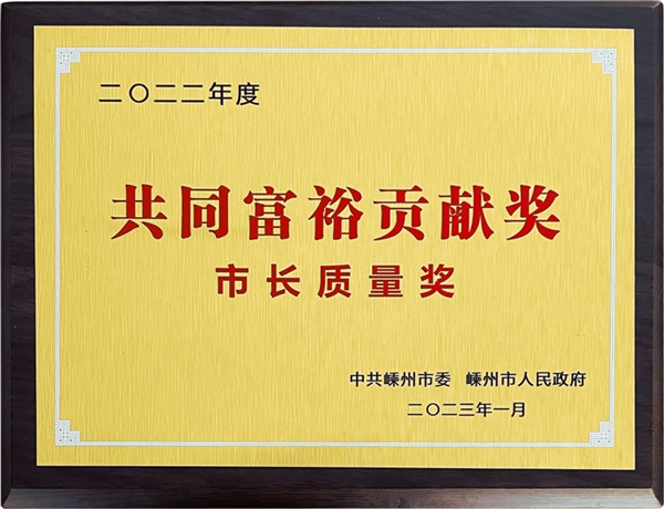金帝集成灶喜获“嵊州市长质量奖”及“工业企业十强”双荣誉!